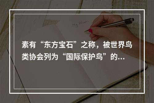 素有“东方宝石”之称，被世界鸟类协会列为“国际保护鸟”的珍