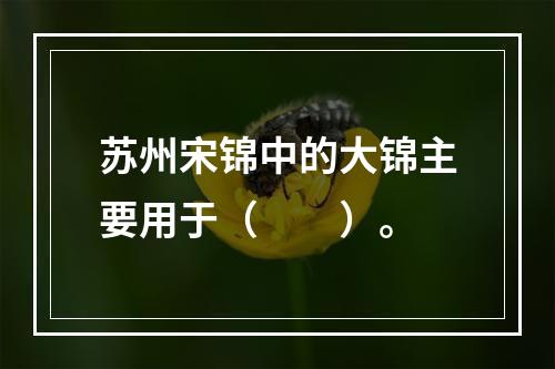 苏州宋锦中的大锦主要用于（　　）。