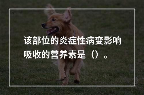 该部位的炎症性病变影响吸收的营养素是（）。