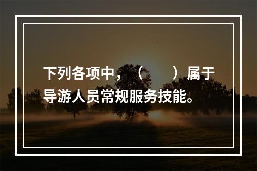 下列各项中，（　　）属于导游人员常规服务技能。