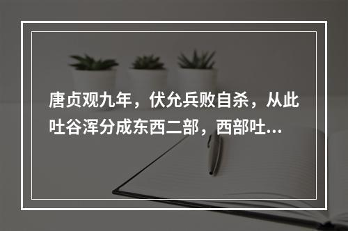 唐贞观九年，伏允兵败自杀，从此吐谷浑分成东西二部，西部吐谷