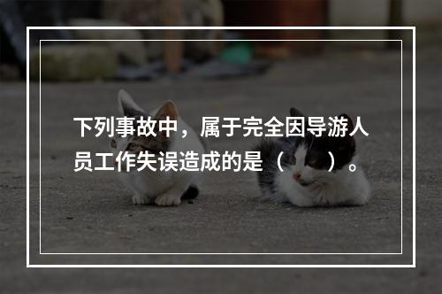 下列事故中，属于完全因导游人员工作失误造成的是（　　）。