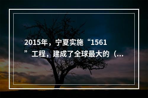 2015年，宁夏实施“1561”工程，建成了全球最大的（　