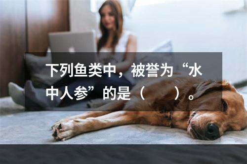 下列鱼类中，被誉为“水中人参”的是（　　）。