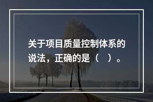 关于项目质量控制体系的说法，正确的是（　）。