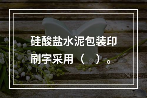 硅酸盐水泥包装印刷字采用（　）。