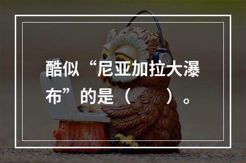 酷似“尼亚加拉大瀑布”的是（　　）。