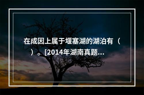 在成因上属于堰塞湖的湖泊有（　　）。[2014年湖南真题]