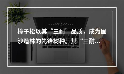 樟子松以其“三耐”品质，成为固沙造林的先锋树种。其“三耐”