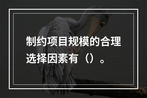 制约项目规模的合理选择因素有（）。