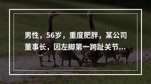 男性，56岁，重度肥胖，某公司董事长，因左脚第一跨趾关节红、