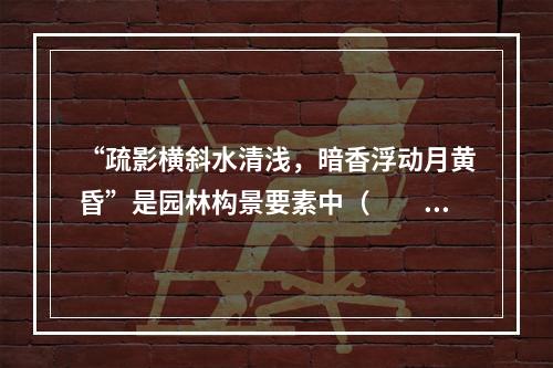 “疏影横斜水清浅，暗香浮动月黄昏”是园林构景要素中（　　）