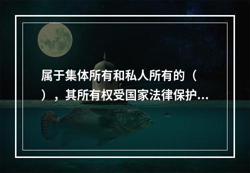 属于集体所有和私人所有的（　　），其所有权受国家法律保护。