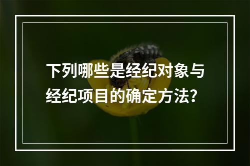 下列哪些是经纪对象与经纪项目的确定方法？