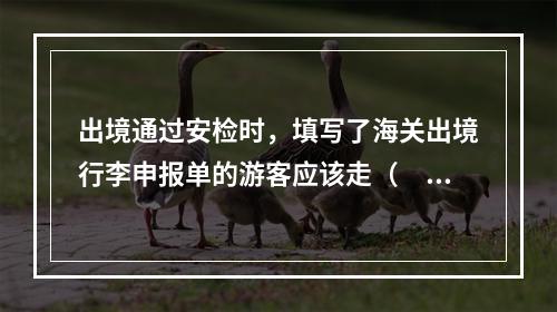 出境通过安检时，填写了海关出境行李申报单的游客应该走（　　