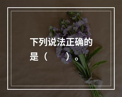 下列说法正确的是（　　）。