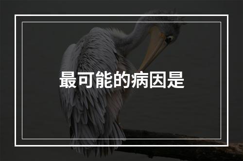 最可能的病因是