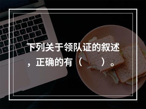 下列关于领队证的叙述，正确的有（　　）。