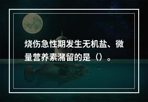 烧伤急性期发生无机盐、微量营养素潴留的是（）。