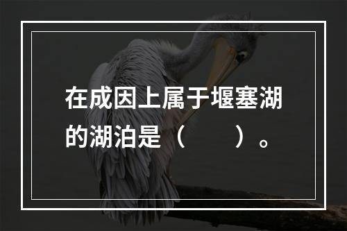 在成因上属于堰塞湖的湖泊是（　　）。