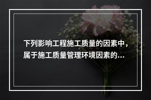 下列影响工程施工质量的因素中，属于施工质量管理环境因素的是（