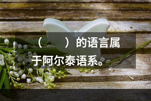 （　　）的语言属于阿尔泰语系。