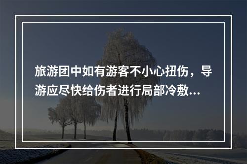 旅游团中如有游客不小心扭伤，导游应尽快给伤者进行局部冷敷，