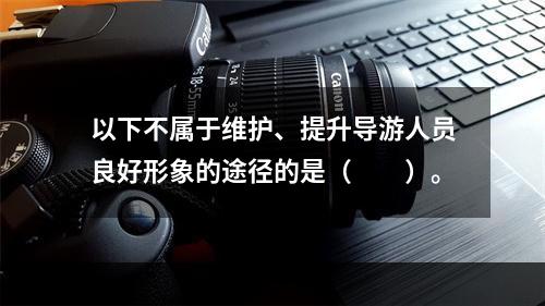 以下不属于维护、提升导游人员良好形象的途径的是（　　）。