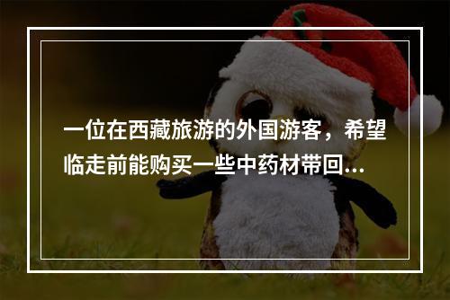 一位在西藏旅游的外国游客，希望临走前能购买一些中药材带回国