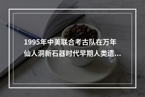 1995年中美联合考古队在万年仙人洞新石器时代早期人类遗址