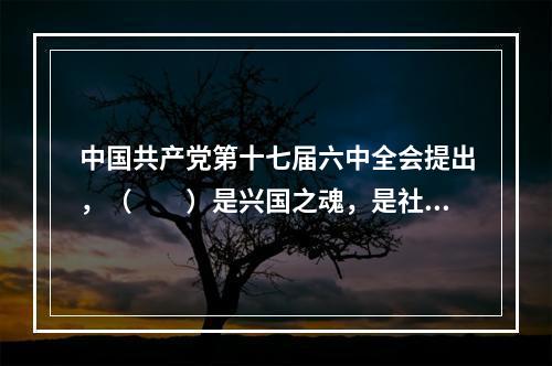 中国共产党第十七届六中全会提出，（　　）是兴国之魂，是社会