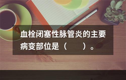 血栓闭塞性脉管炎的主要病变部位是（　　）。