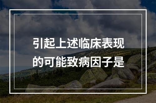 引起上述临床表现的可能致病因子是