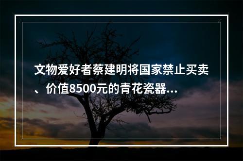 文物爱好者蔡建明将国家禁止买卖、价值8500元的青花瓷器文