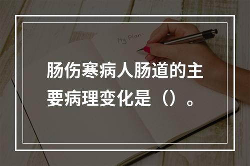 肠伤寒病人肠道的主要病理变化是（）。