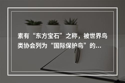 素有“东方宝石”之称，被世界鸟类协会列为“国际保护鸟”的珍