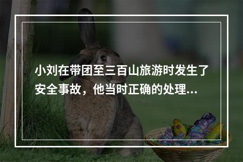 小刘在带团至三百山旅游时发生了安全事故，他当时正确的处理方