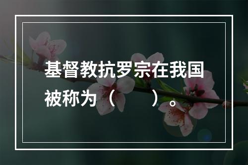 基督教抗罗宗在我国被称为（　　）。