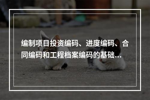 编制项目投资编码、进度编码、合同编码和工程档案编码的基础是（