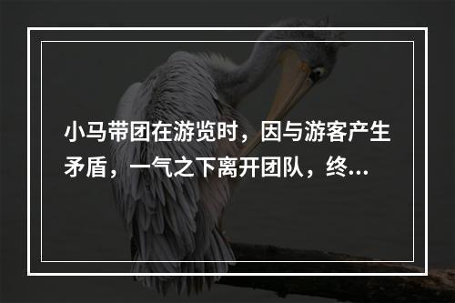 小马带团在游览时，因与游客产生矛盾，一气之下离开团队，终止