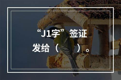 “J1字”签证发给（　　）。