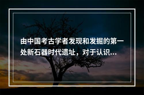 由中国考古学者发现和发掘的第一处新石器时代遗址，对于认识和