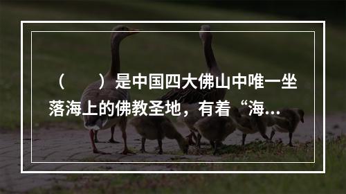 （　　）是中国四大佛山中唯一坐落海上的佛教圣地，有着“海天