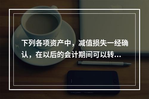 下列各项资产中，减值损失一经确认，在以后的会计期间可以转回的