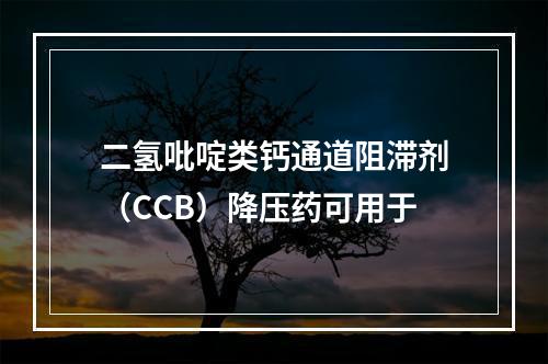 二氢吡啶类钙通道阻滞剂（CCB）降压药可用于