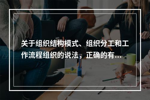 关于组织结构模式、组织分工和工作流程组织的说法，正确的有（　