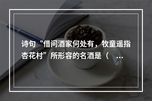 诗句“借问酒家何处有，牧童遥指杏花村”所形容的名酒是（　　