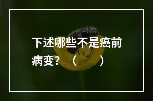 下述哪些不是癌前病变？（　　）