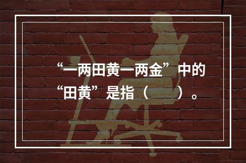 “一两田黄一两金”中的“田黄”是指（　　）。