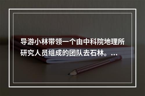 导游小林带领一个由中科院地理所研究人员组成的团队去石林。上